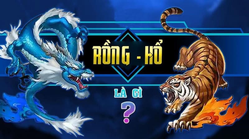 Rồng Hổ Là Gì?